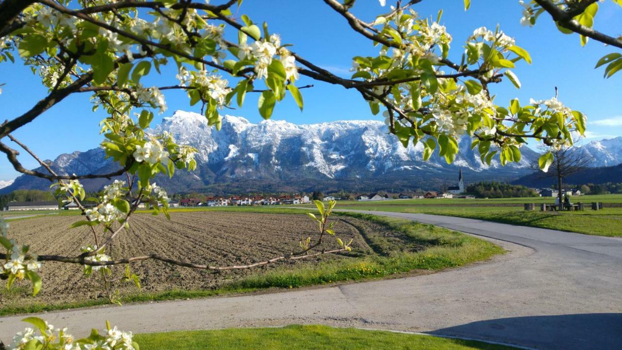 Vor Den Toren Salzburgs Wals-Siezenheim ภายนอก รูปภาพ